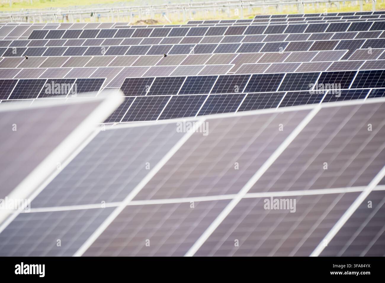 Installazione di moduli fotovoltaici ad alta densità che cattura la luce solare per la generazione di energia pulita e l'iniziativa per l'azione climatica Foto Stock