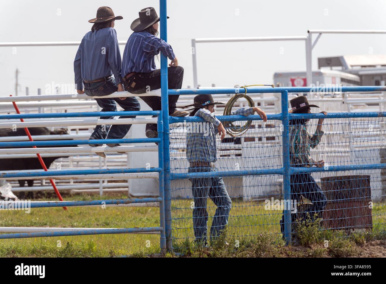 Spettatori al Brocket, Rodeo della Nazione Piikani, Alberta Canada Foto Stock
