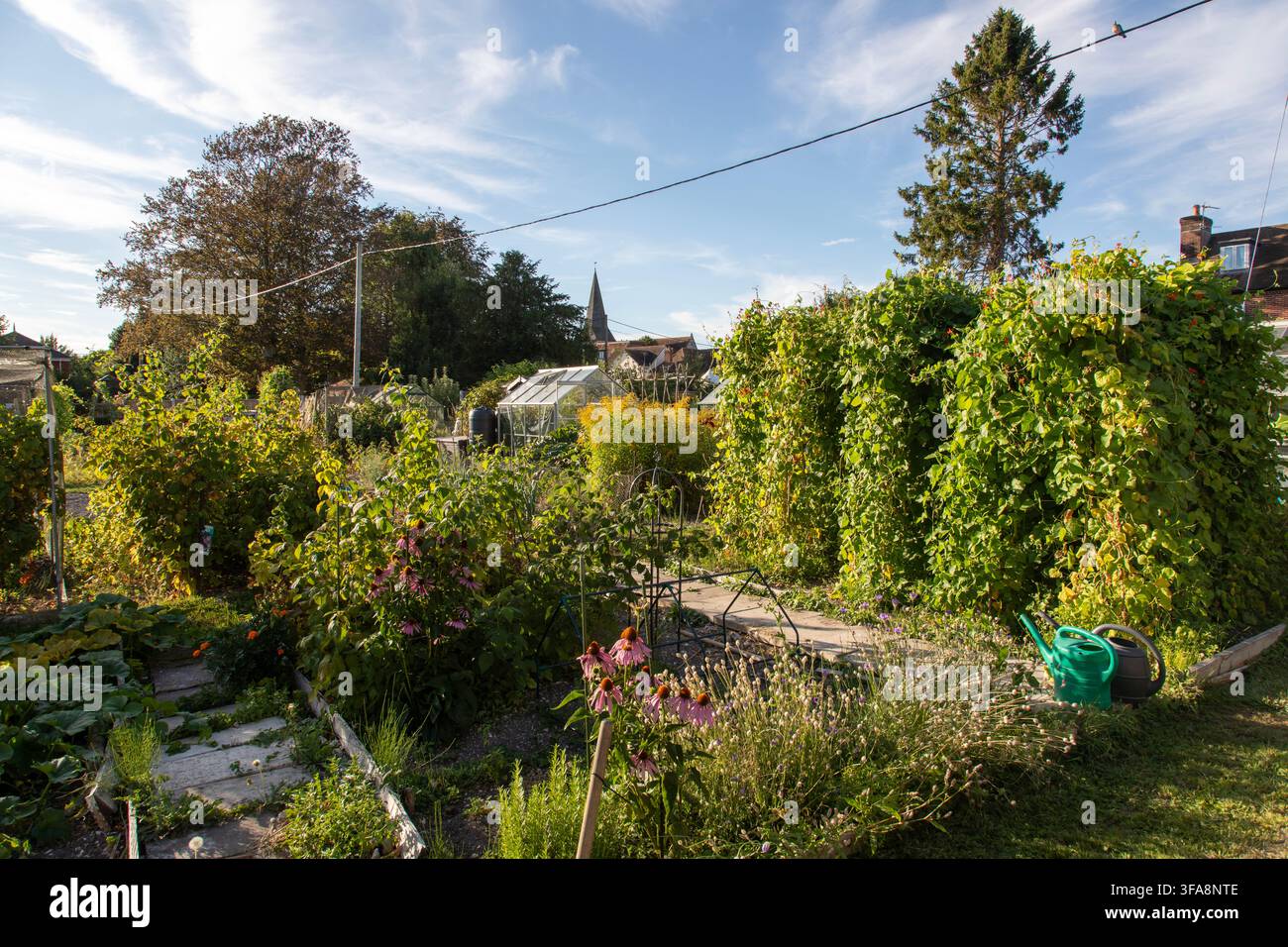 Orti, Stockbridge, Hampshire Foto Stock