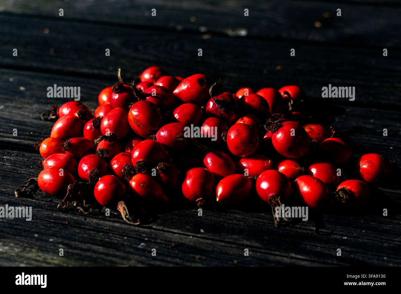 Un mucchio di bacche di rosa rosse fresche raccolte da rosi, posate su una superficie di legno scuro e stagionato alla luce del sole intensa Foto Stock