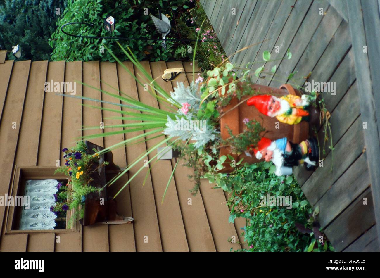 Vista aerea di un affascinante ponte di legno con colorate figurine di gnomi da giardino incastonate tra lussureggianti piante in vaso e vegetazione rampicante. Esterno stravag Foto Stock