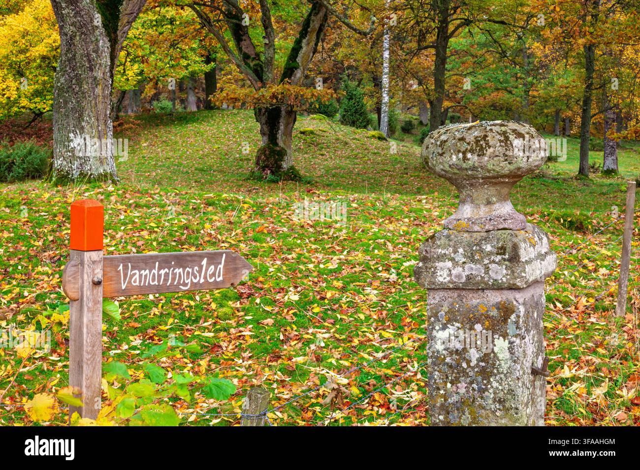 Segnale di traccia in una foresta di querce in autunno Foto Stock