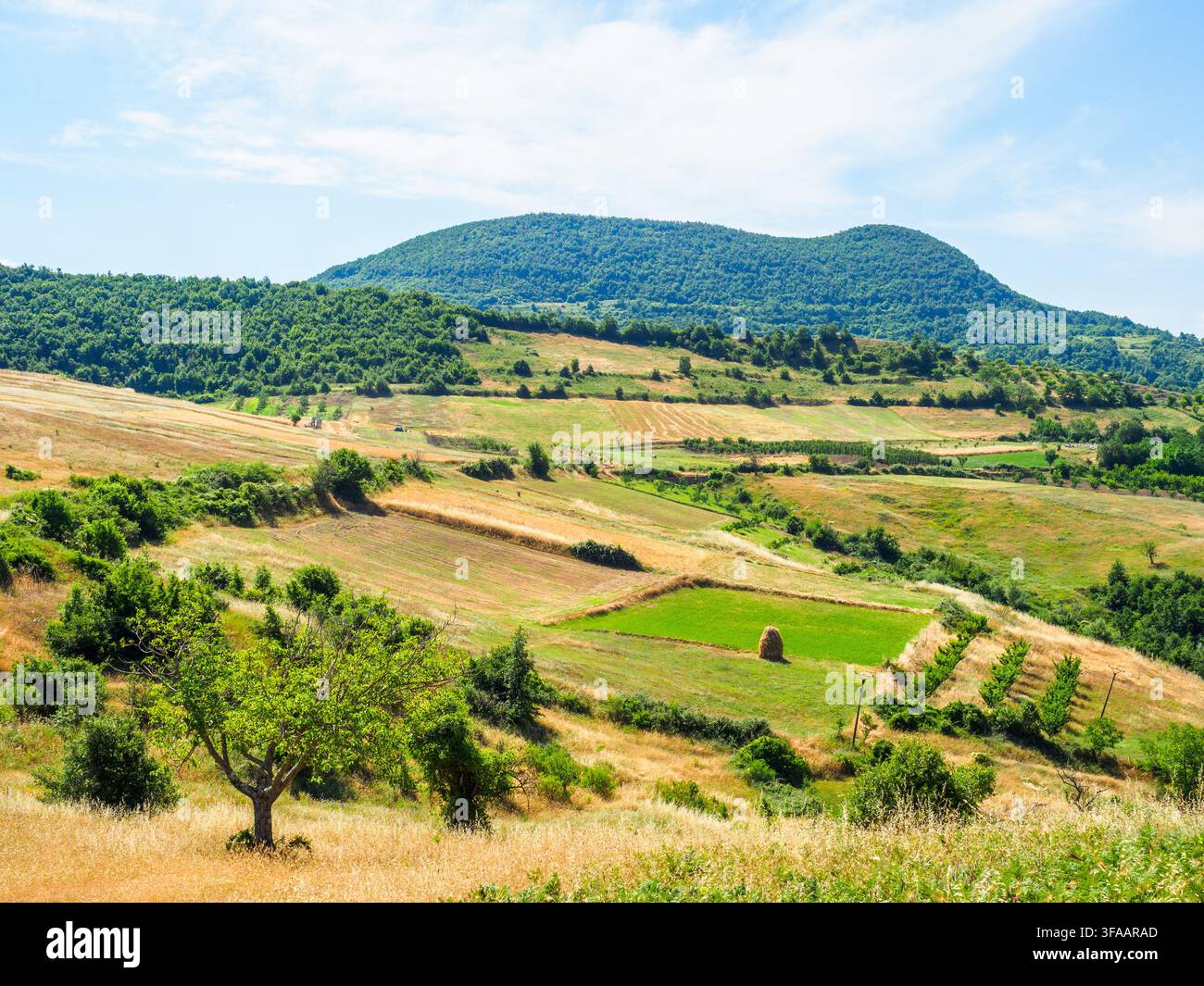 Paesaggio rurale vicino ai villaggi di Selca e Poshtme - regione di Pogradec, Albania Foto Stock