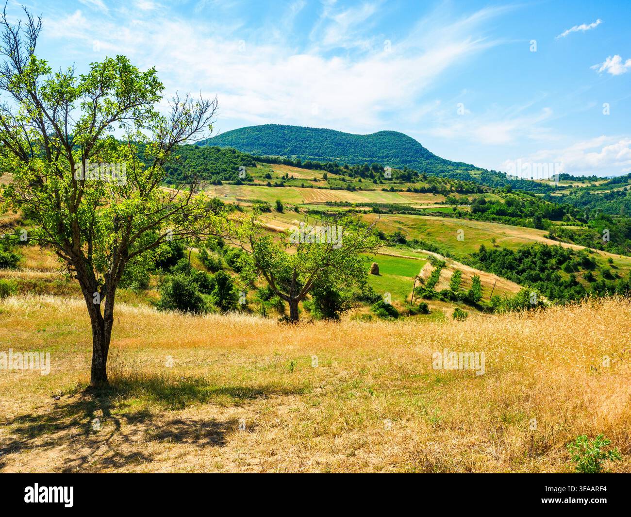 Paesaggio rurale vicino ai villaggi di Selca e Poshtme - regione di Pogradec, Albania Foto Stock