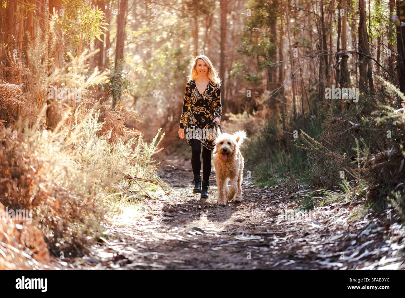 Donna e cane che si godono una passeggiata su un sentiero autunnale illuminato dal sole nel bosco Foto Stock