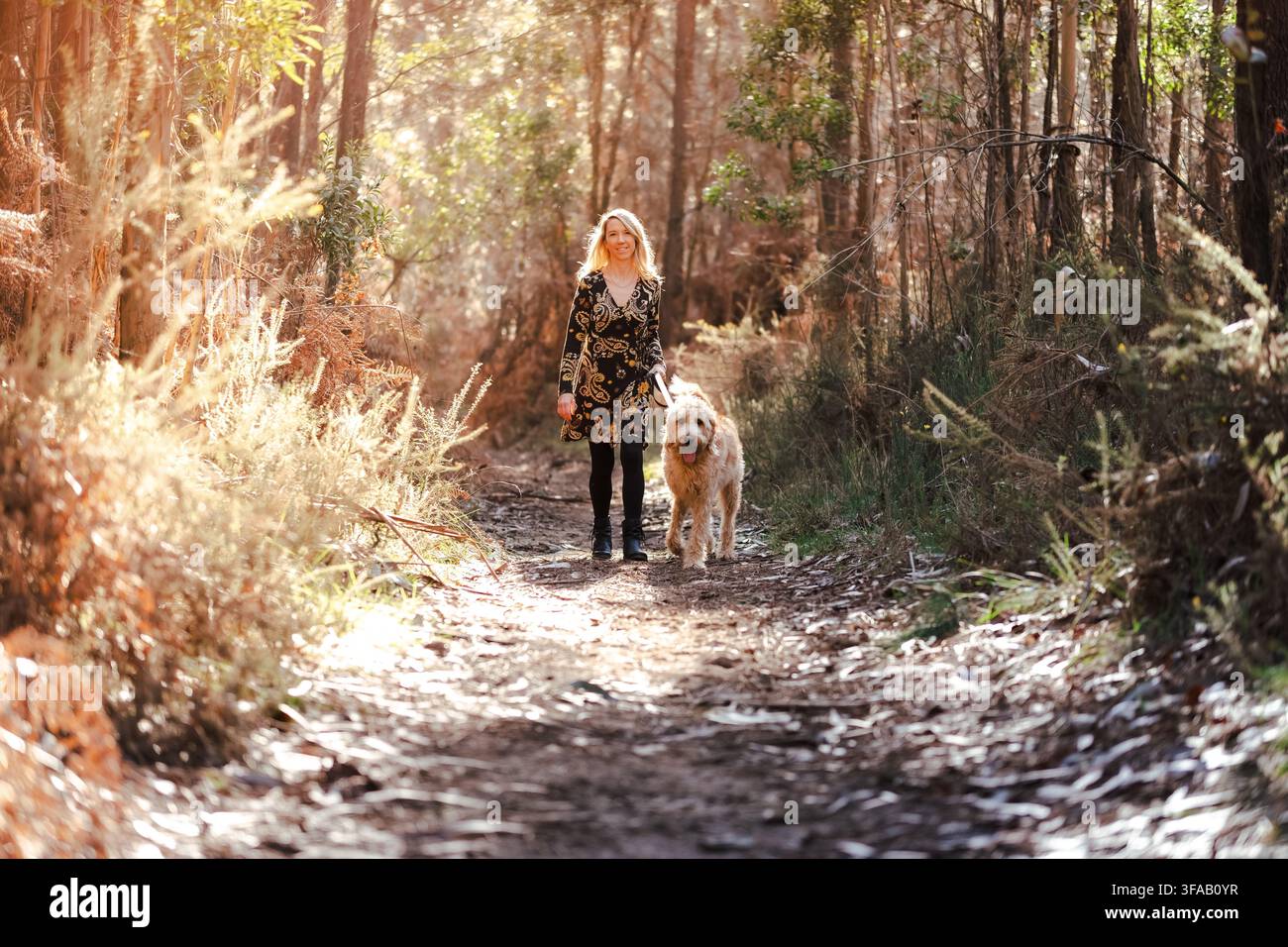 Donna che passeggia il cane su un sentiero illuminato dal sole, godendosi la natura e la compagnia Foto Stock