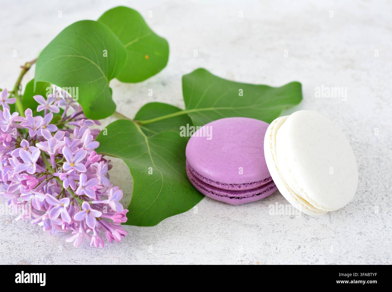 Un primo piano di fiori di lillà e macarons su uno sfondo chiaro e texture Foto Stock