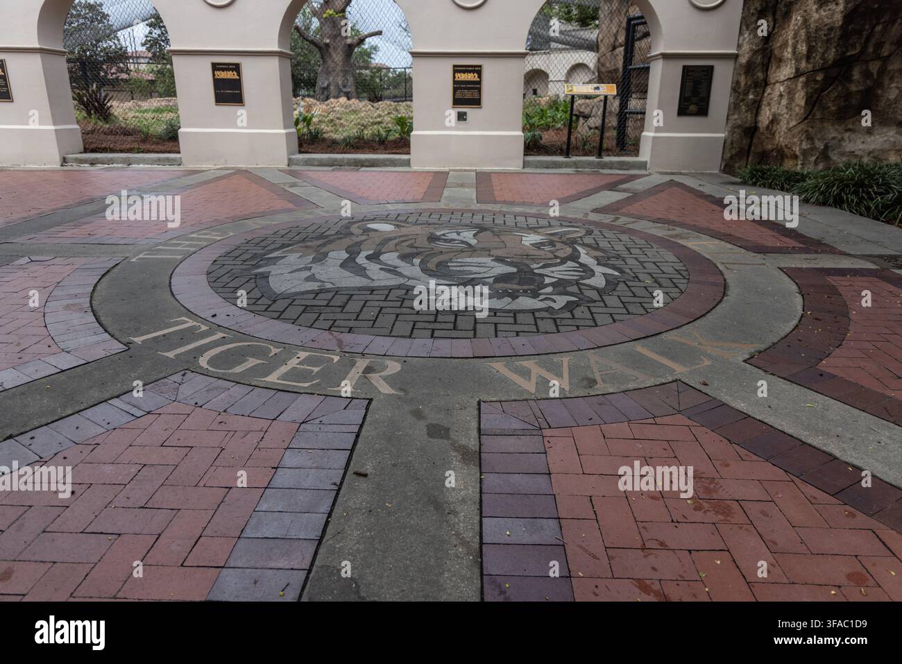 Baton Rouge, Louisiana, Stati Uniti - 28 marzo 2023: Vista del mosaico Tiger Walk nell'habitat dei tigri della Louisiana State University con una testa di tigre Foto Stock