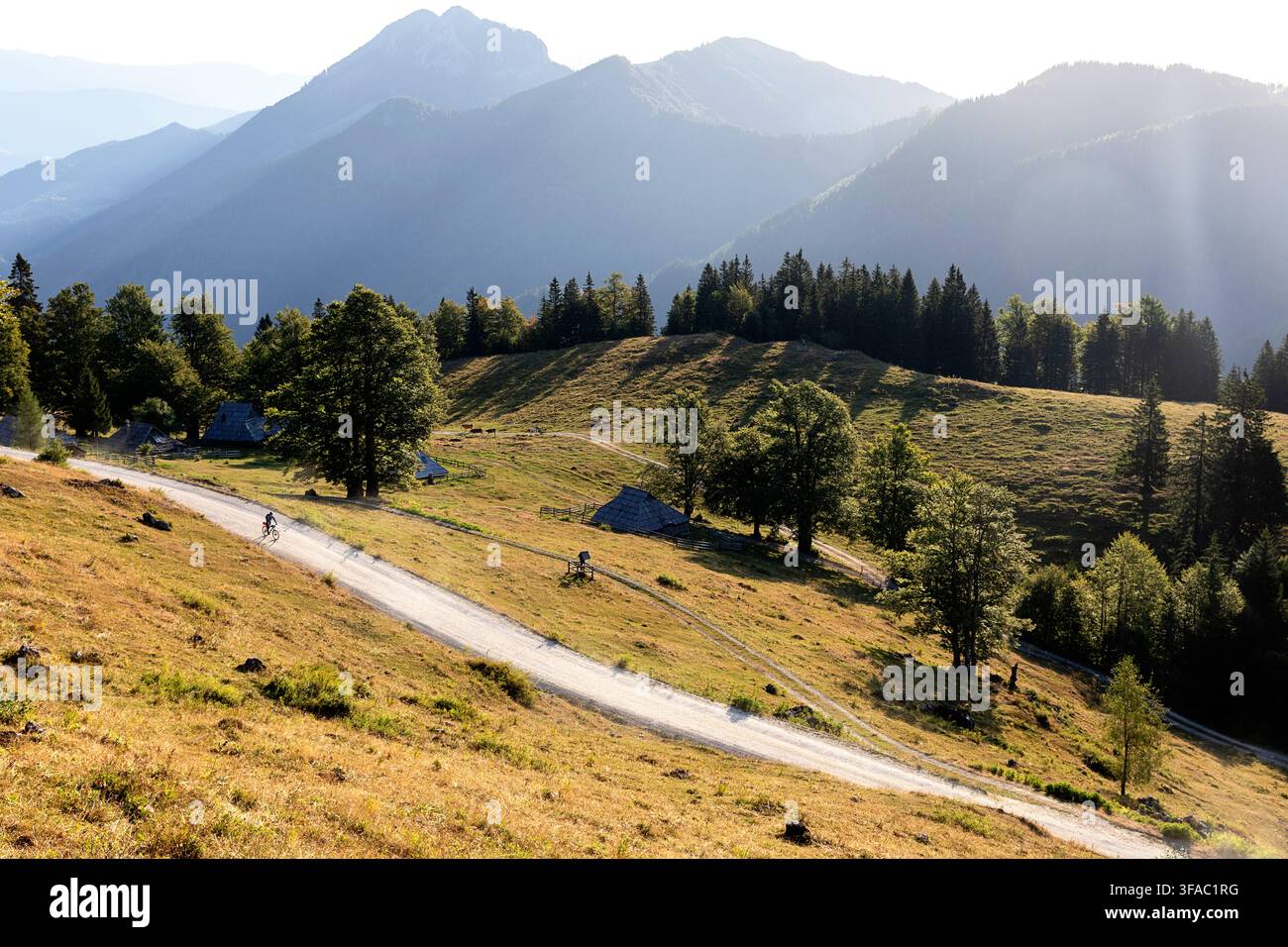 Un ciclista in viaggio di bikepacking che pedala lungo un sentiero di ghiaia scenografico attraverso l'altopiano alpino di alta quota di Velika Planina, in Slovenia. Foto Stock