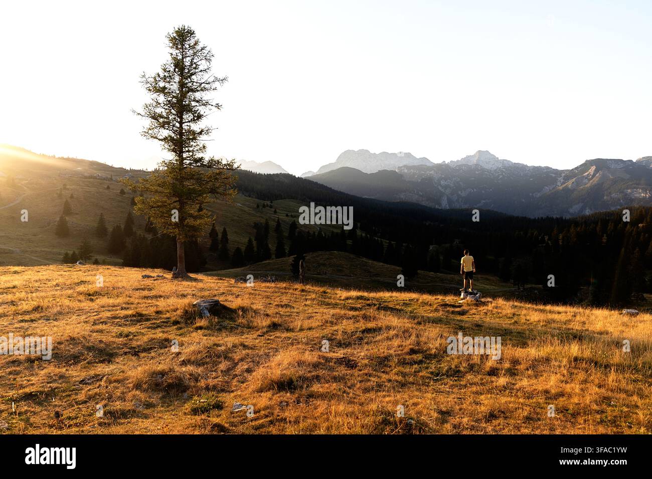 Un escursionista turista maschile in piedi su una roccia al tramonto, che guarda verso le panoramiche Alpi di Kamnik-Savinja dal plateau di Velika Planina, in Slovenia. Foto Stock