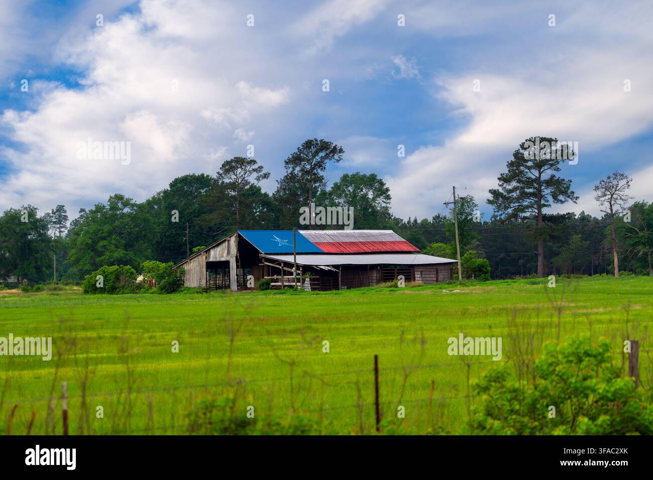 Stalla con una bandiera del Texas dipinta sul tetto in lamiera nella campagna del Texas con un cielo drammatico Foto Stock