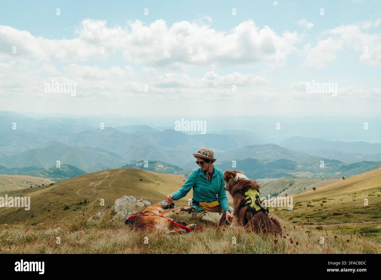 Una donna si rilassa con un Pastore Tedesco e un Pastore Australiano su un prato di montagna a Kopaonik, Serbia. La ragazza interagisce con i cani durante un Foto Stock