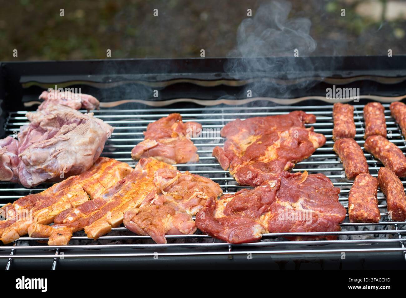 Varietà di carne cruda marinata tra cui bistecche di maiale, costine, filetti di pollo e salsicce che grigliano su una griglia metallica sopra carbone ardente con smo Foto Stock