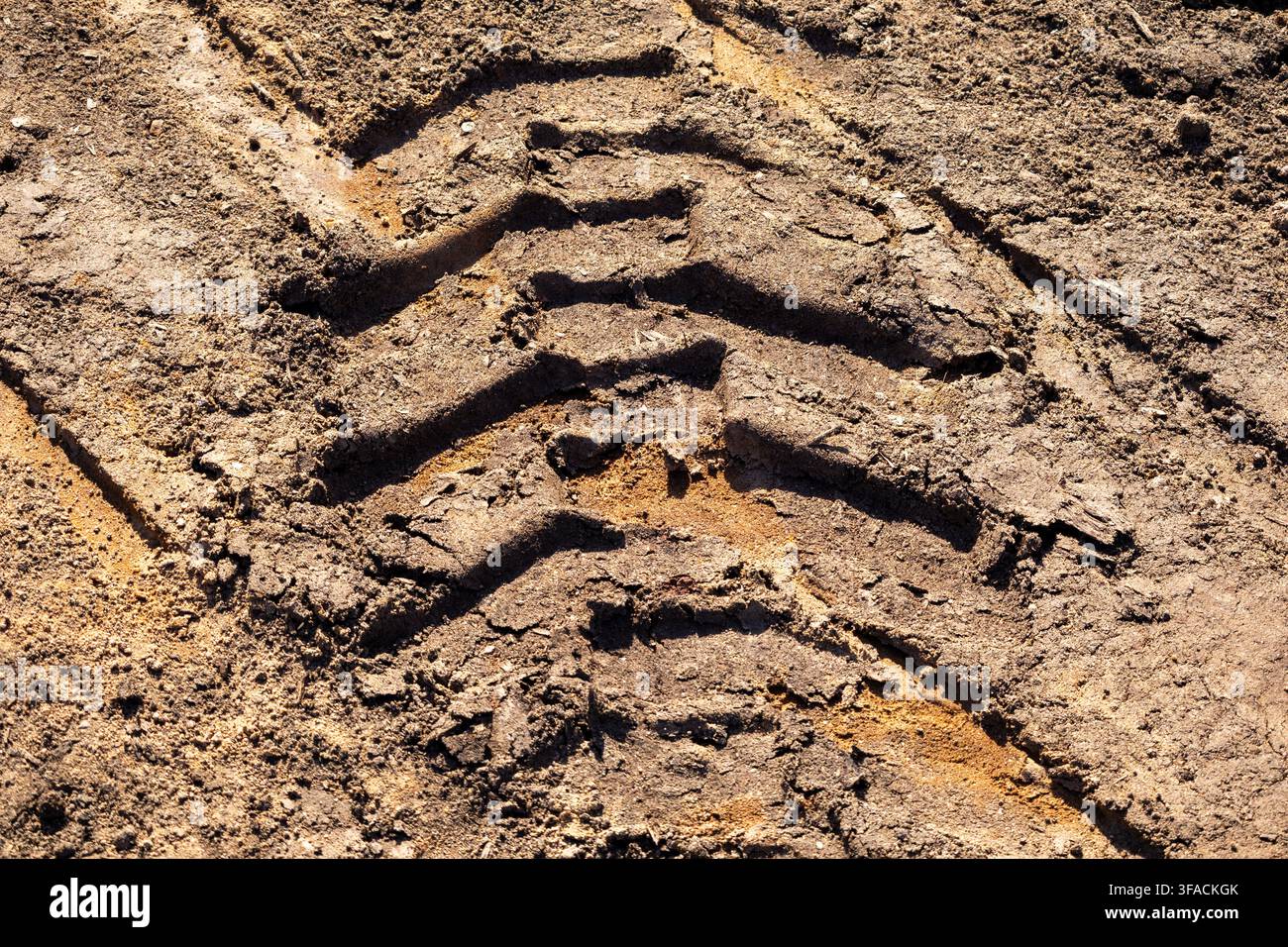 Impronta profonda e sinuosa di pneumatico da trattore su terreno scuro al tramonto Foto Stock