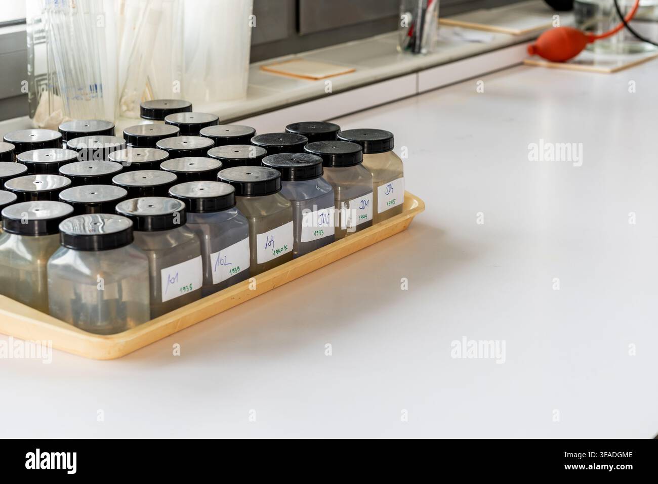 Campione di bottiglie contenenti campioni di terreno su un vassoio in laboratorio. La scena riflette test ambientali, controllo qualità e analisi scientifica dei campioni Foto Stock