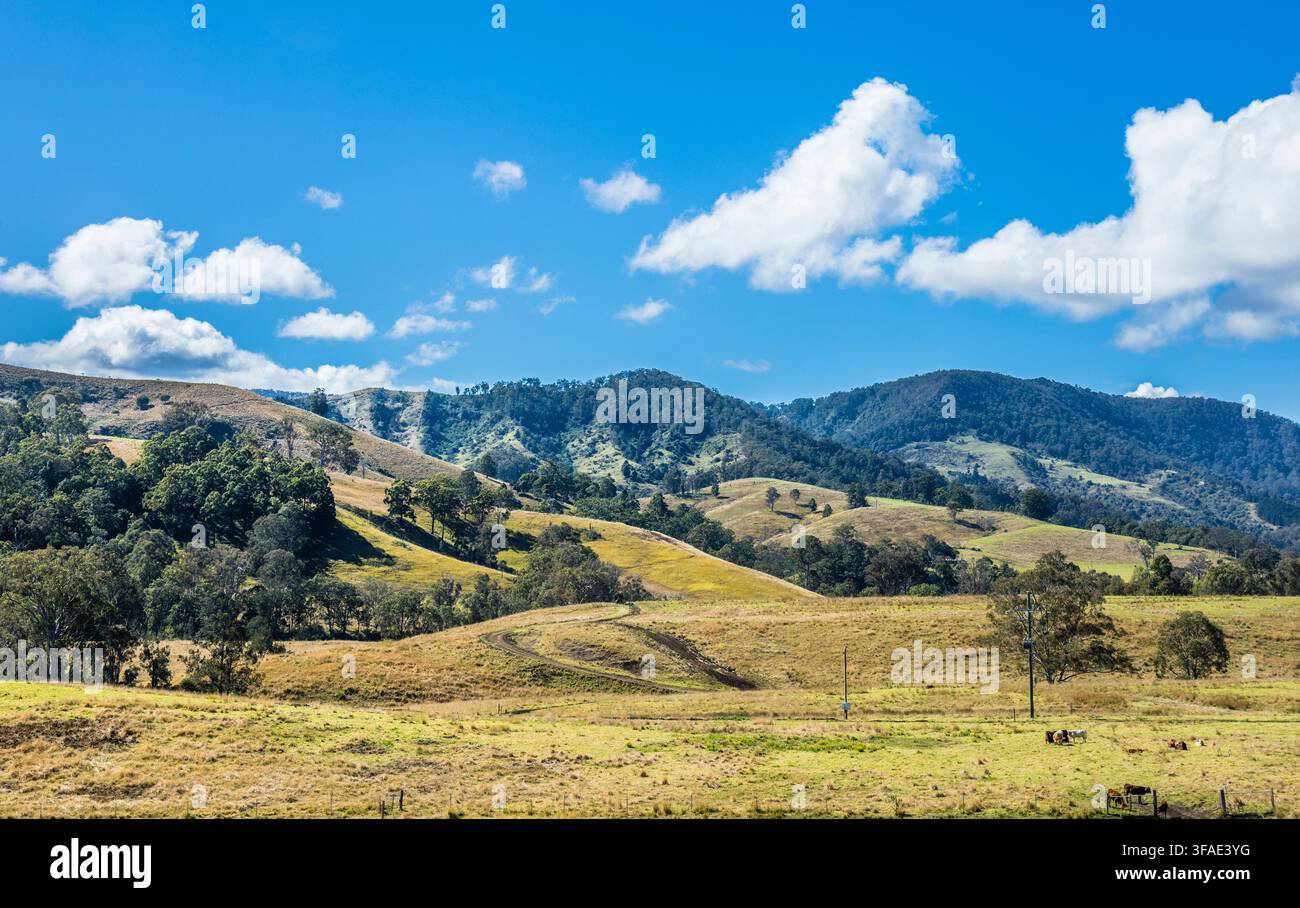 paesaggio rurale con vista sulle Border Ranges tra il Queensland e il New South Wales, Running Creek Road, Queensland, Australia Foto Stock