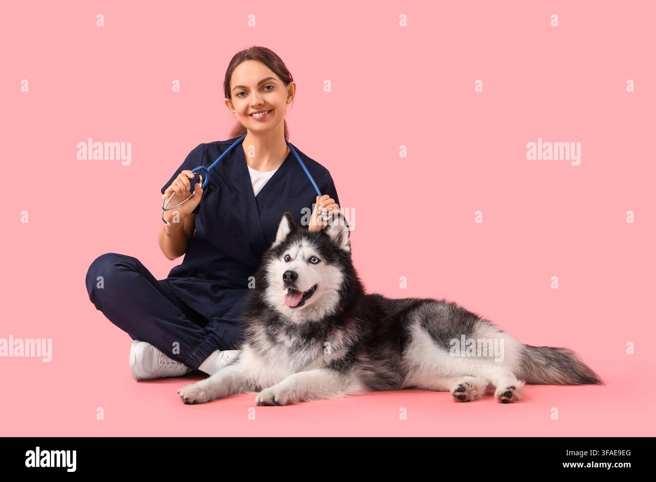 Cura veterinaria e salute degli animali domestici, veterinaria felice con stetoscopio e cane husky su sfondo rosa Foto Stock