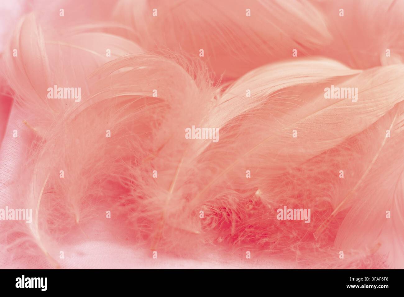 Sfondo astratto rosa morbido con texture fluide e sfumature delicate. Il design presenta forme sfumate e un'atmosfera onirica Foto Stock