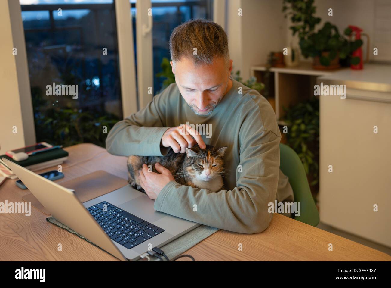 Proprietario di animali domestici, uomo distratto dal lavoro a distanza da un gatto mentre è seduto al laptop durante una comoda giornata lavorativa a casa Foto Stock