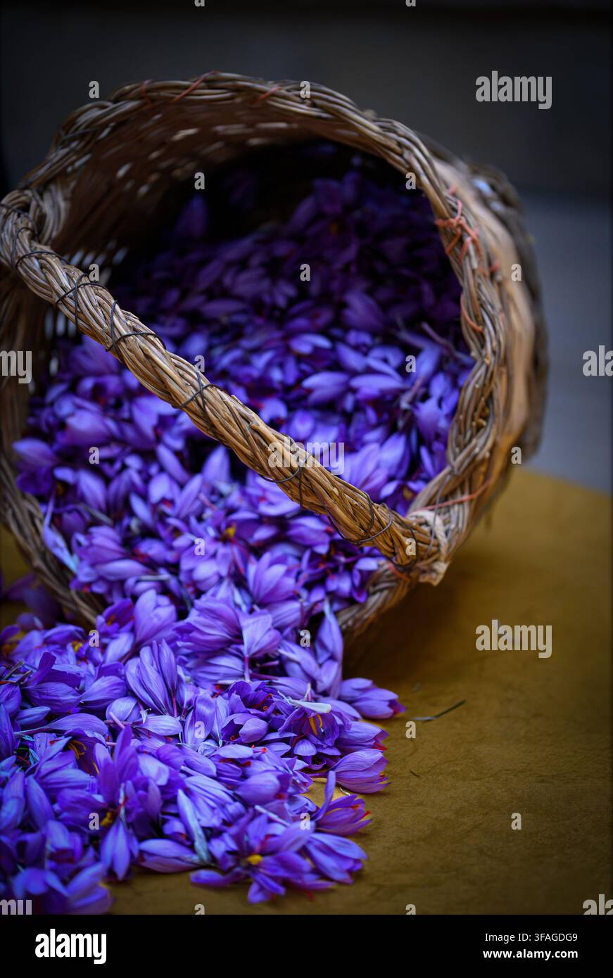 Cesto intrecciato riversa fiori di zafferano viola vibranti su una superficie di legno calda. Una luce soffusa evidenzia i petali delicati e la texture rustica. Ideale per cu Foto Stock