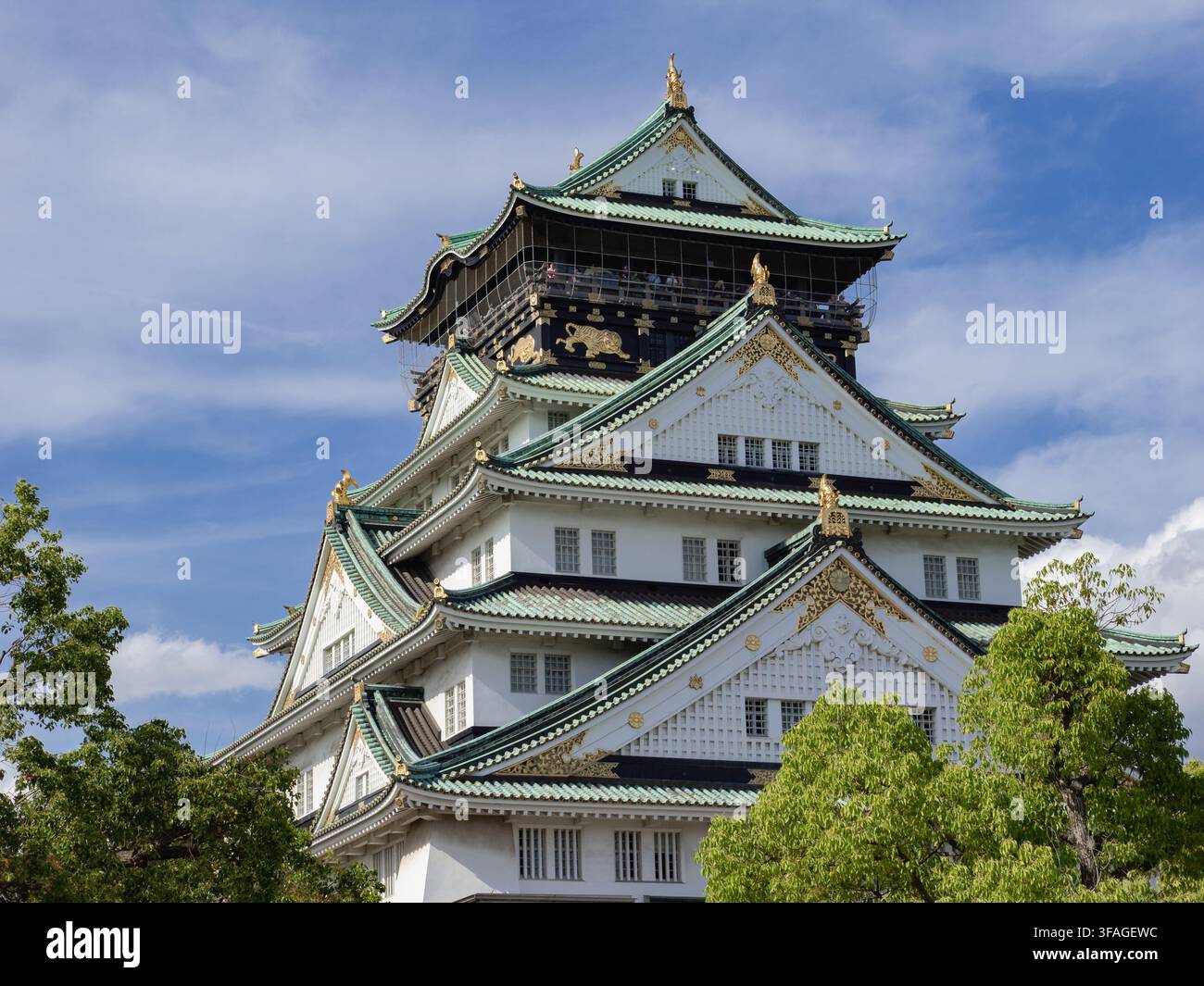 Torre principale del castello di Osaka che si erge sopra gli alberi in una giornata di sole, Osaka, Giappone Foto Stock