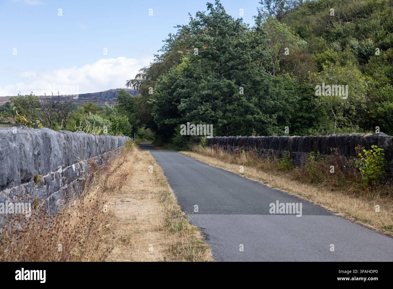 Il viadotto di Cefn, Merthyr Tydfil, un tempo parte della ferrovia della valle di Taff, ora incluso nel Taff Trail utilizzato per passeggiate e cicloturismo Foto Stock