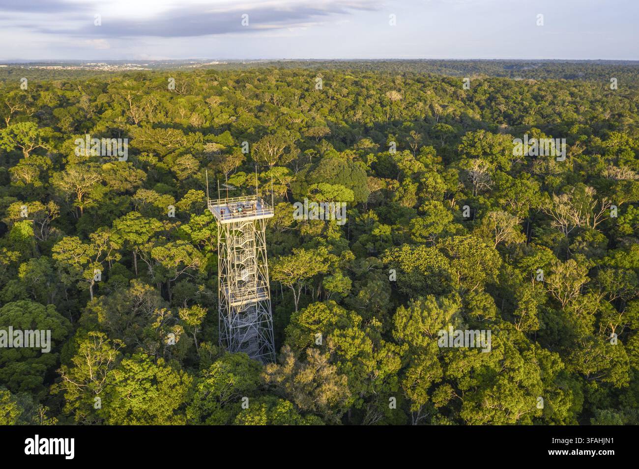 Vista a trapano della torre di osservazione del MUSA - Museo dell'Amazzonia nel Giardino Botanico dell'INPA Foto Stock