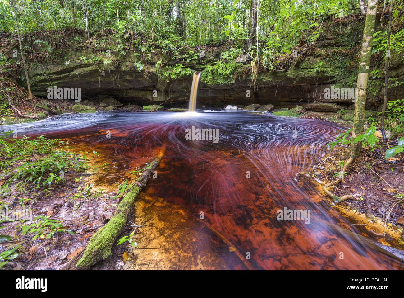 Cascata di Itaubal nel Parco Nazionale di Jaú Foto Stock