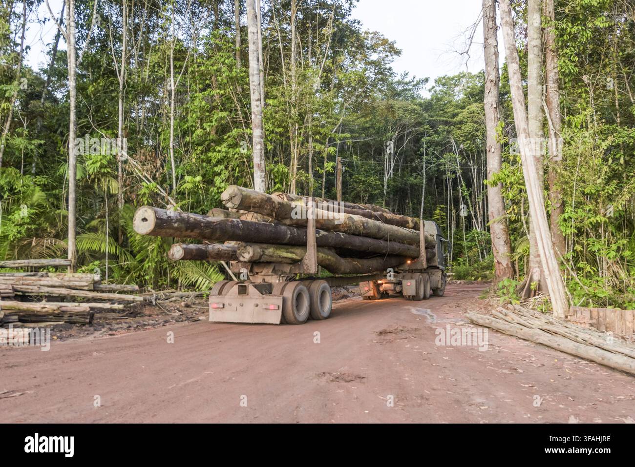 Camion che trasporta legno in un'area di gestione forestale sostenibile certificata Foto Stock