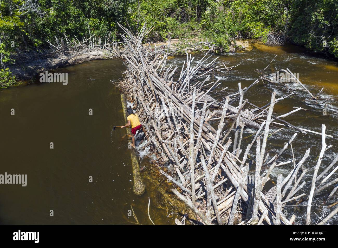 Indigeno del gruppo etnico Enawenê-Nawê che effettua la manutenzione alla diga in tronchi del fiume Hoyakawiña usata per sbarrare i pesci - Terra indigena Enawenê-Nawê Foto Stock
