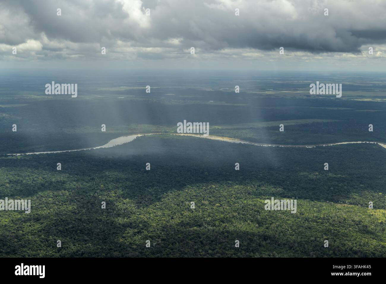 Vista aerea della pioggia sulla foresta pluviale amazzonica e Rio Branco Foto Stock