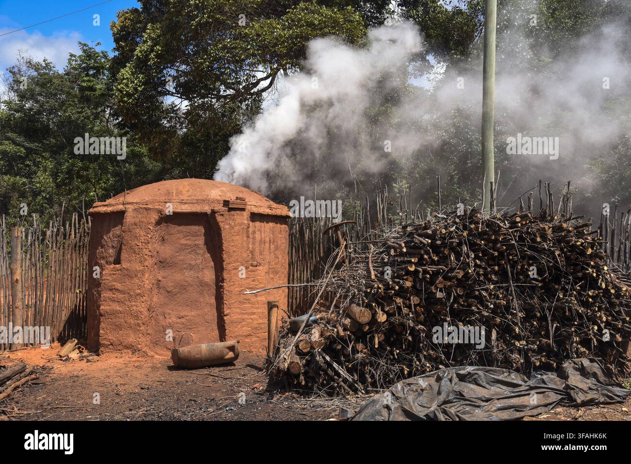 Forno di eucalipto e legna da ardere per la produzione di carbone artigianale - quartiere Bertolo - Alto Jequitinhonha Foto Stock
