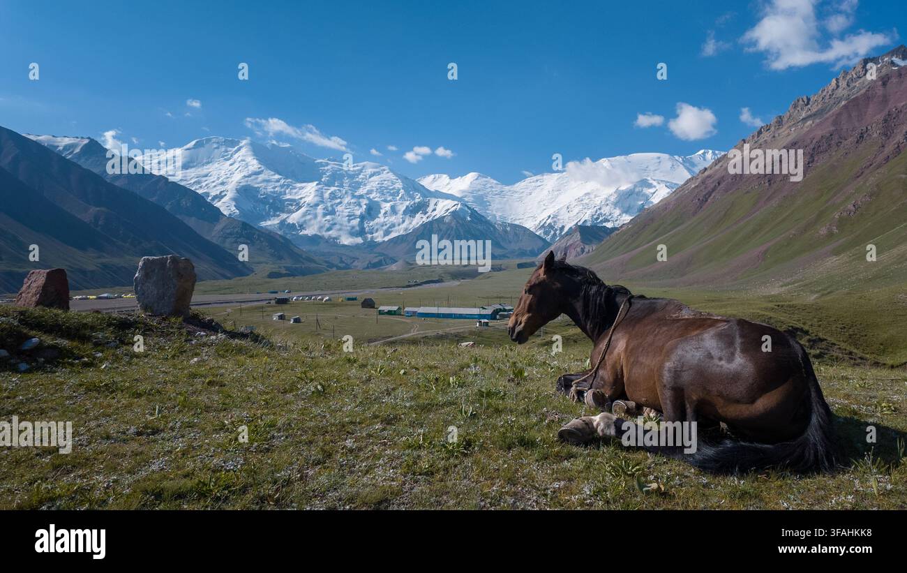 Un cavallo si sdraia in una valle erbosa nel Kirghizistan. Montagne innevate si ergono sullo sfondo. Il cielo è nuvoloso e il paesaggio mostra campi e Foto Stock