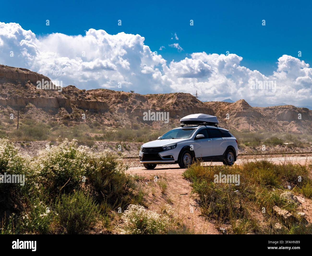 Station wagon bianco con portapacchi sul tetto su strada sterrata nel canyon del deserto Foto Stock