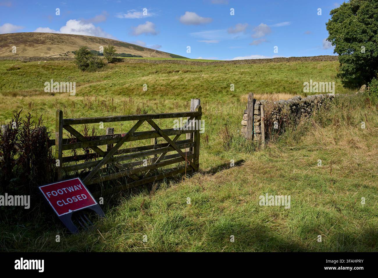 Dunsop Bridge, Clitheroe, Lancashire, Regno Unito. 19 agosto 2026. Vista verso le colline e i pascoli attraverso un cancello agricolo aperto in legno a cinque sbarre Foto Stock
