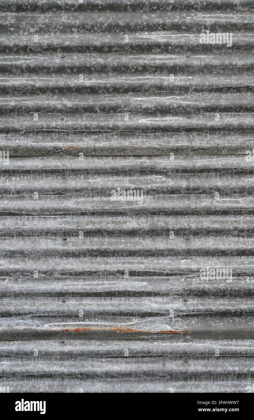Prima vista di pannelli di lamiera zincata ondulata verticale con creste orizzontali e depositi minerali bianchi Foto Stock