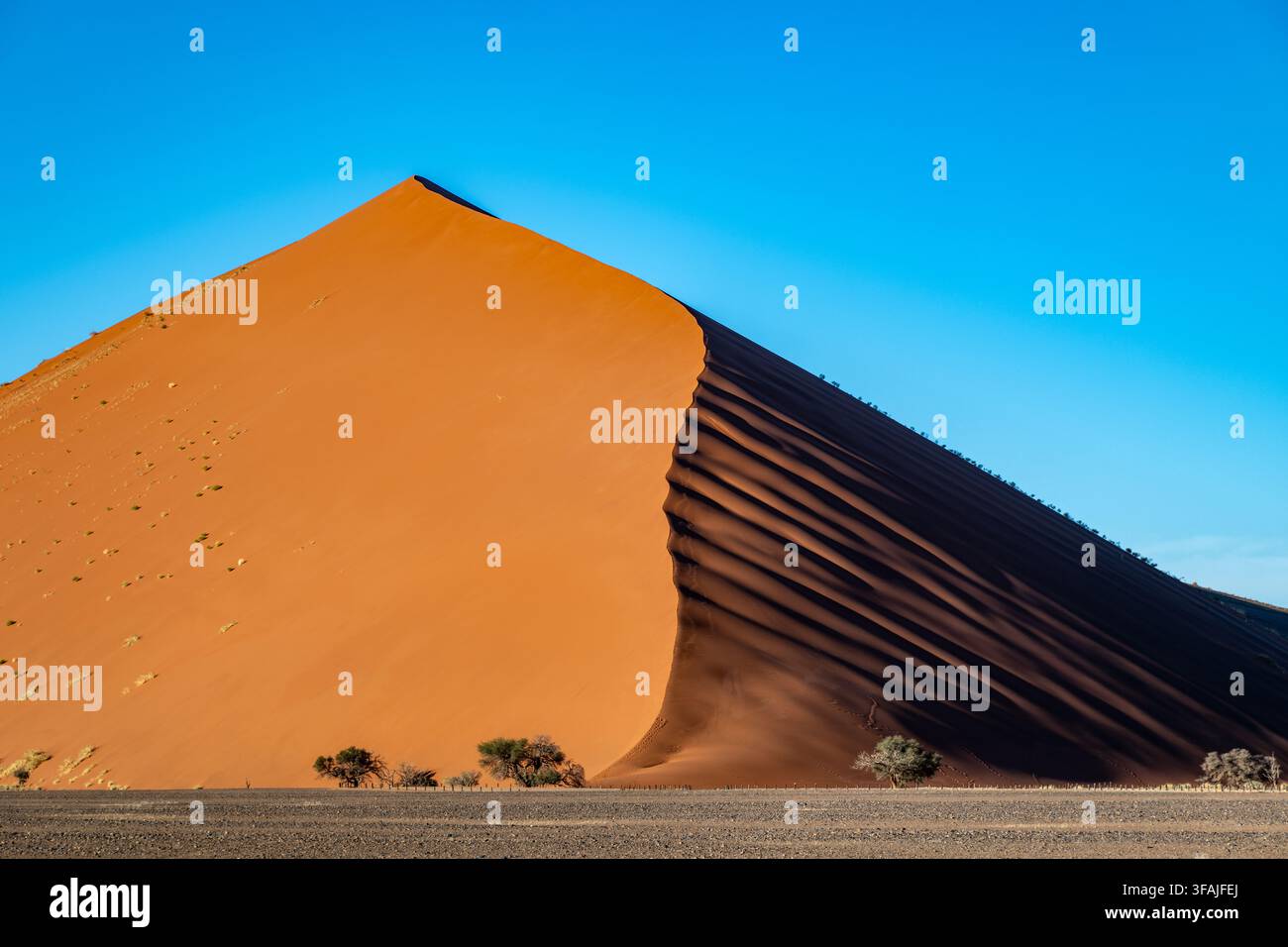 Vista drammatica di Dune 45 a Sossusvlei, Namibia. La maestosa duna di sabbia arancione domina l'inquadratura contro un cielo blu vibrante. Una vegetazione rada punteggia Foto Stock