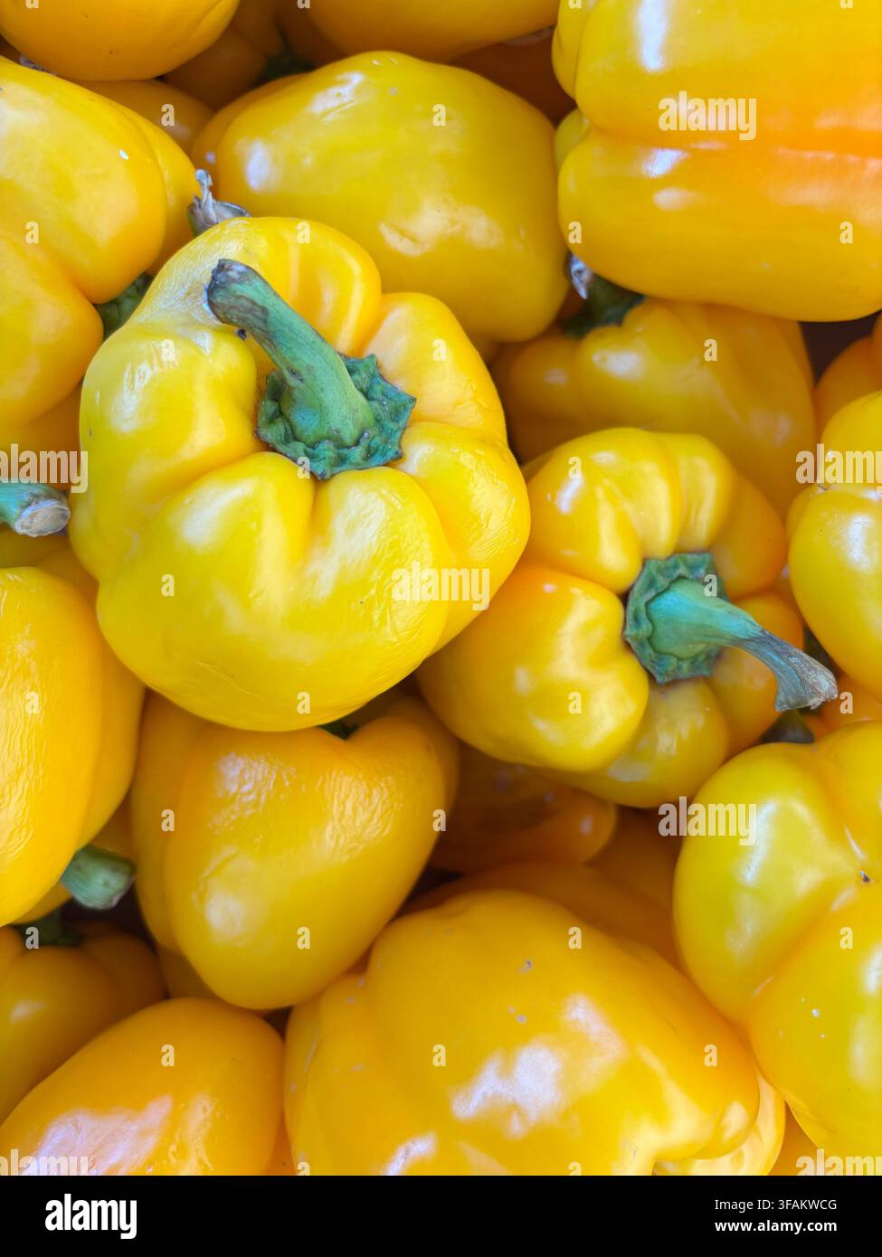 Peperoni gialli vivaci e lucenti ammucchiati – ideali per concetti culinari, immagini di prodotti freschi e visual di alimentazione sana - Immagine stock catturata con smartphone