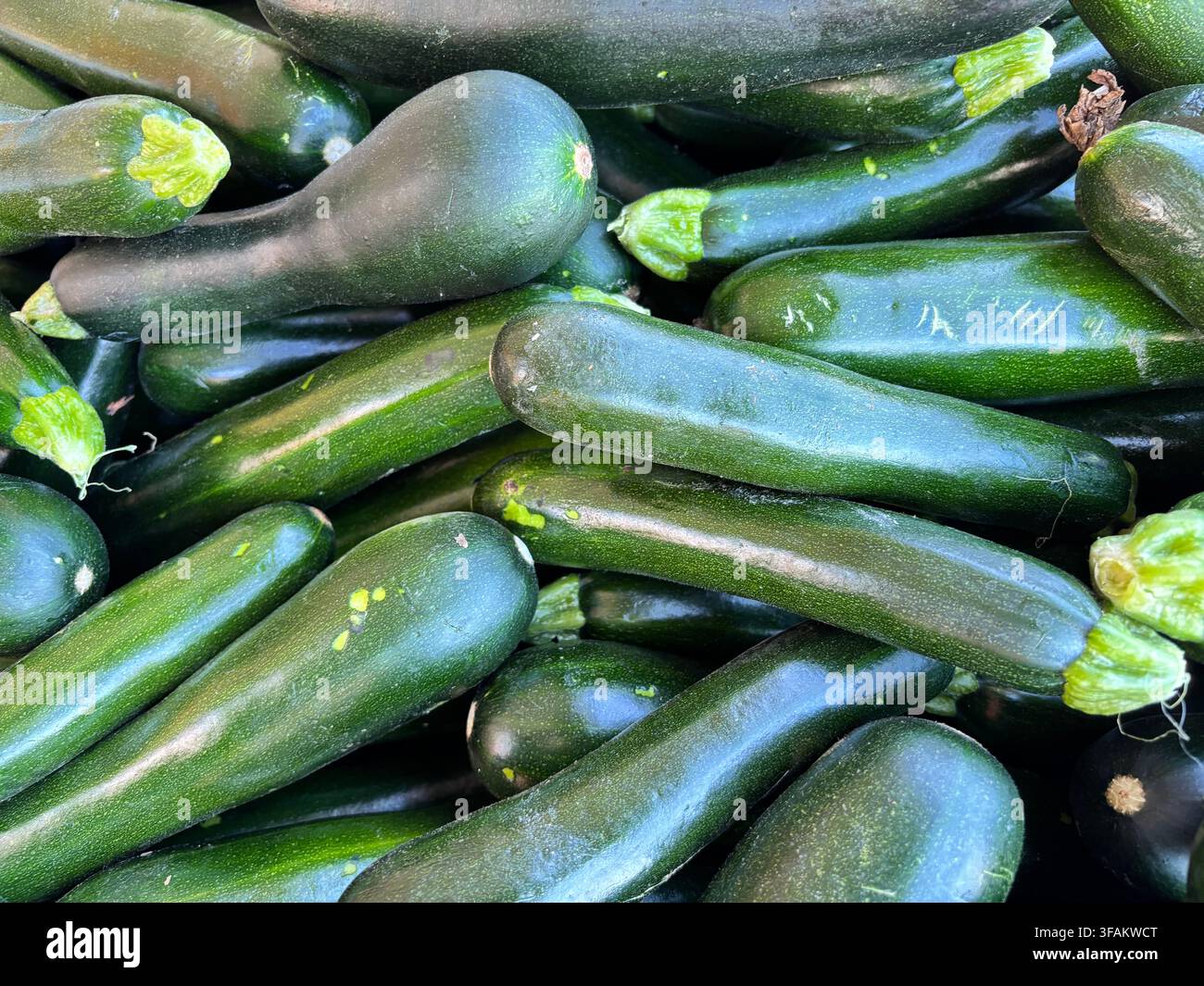 Una pila vivace e a tutto schermo di zucchine verdi scure fresche, perfette per concetti di cibo sano e immagini di prodotti agricoli - Immagine stock catturata con smartphone