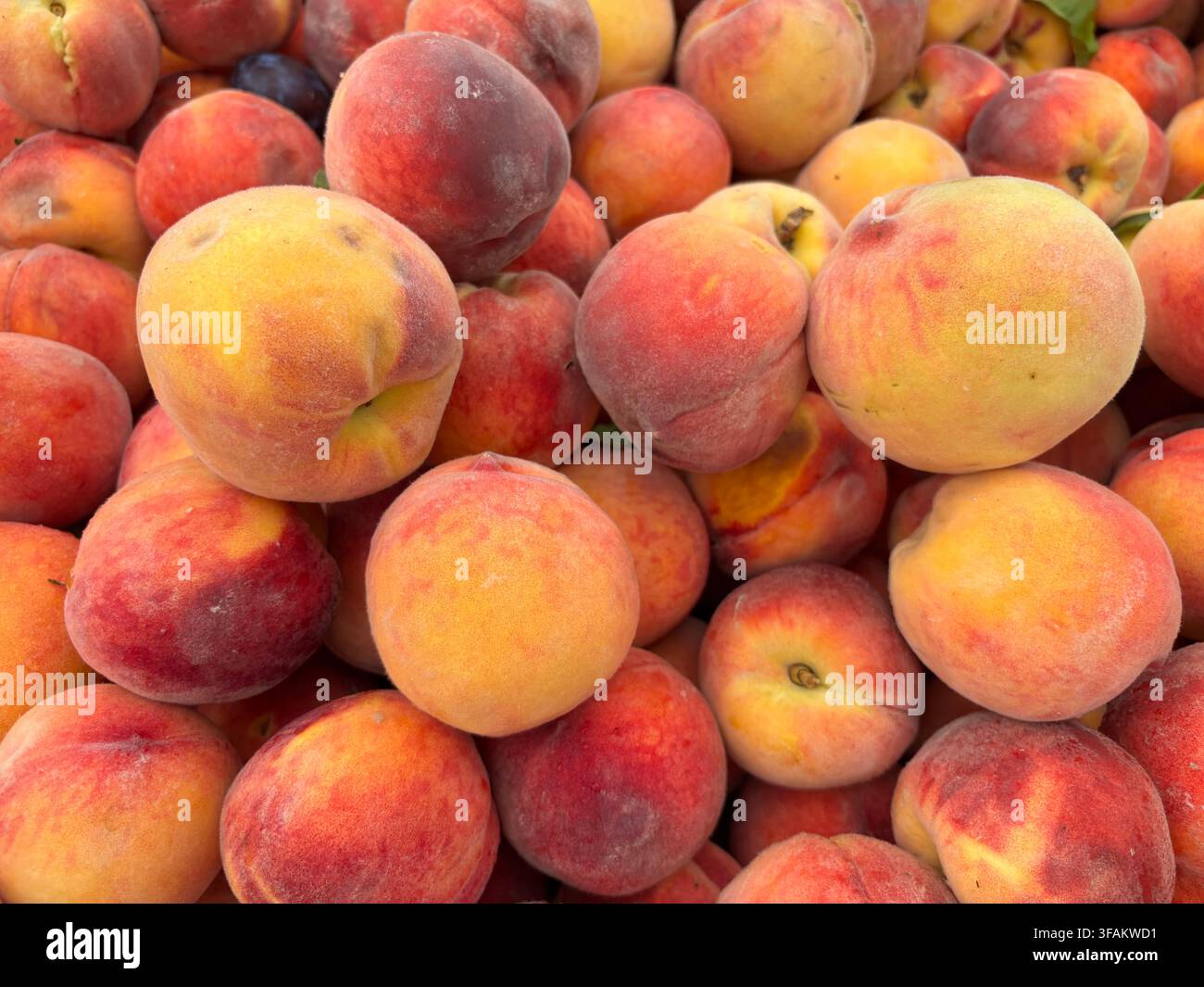 Un vivace mucchio a tutto schermo di pesche fresche e mature, perfetto per la fotografia di prodotti freschi di fattoria e di stile di vita sano - Immagine stock catturata con smartphone