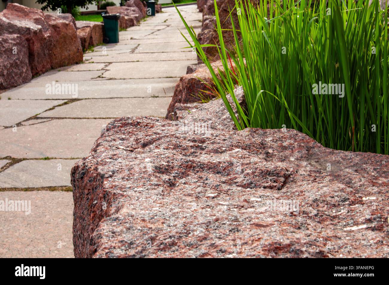 Un sentiero lastricato si snoda attraverso un paesaggio caratterizzato da grandi massi di granito e da vivaci canne verdi Foto Stock