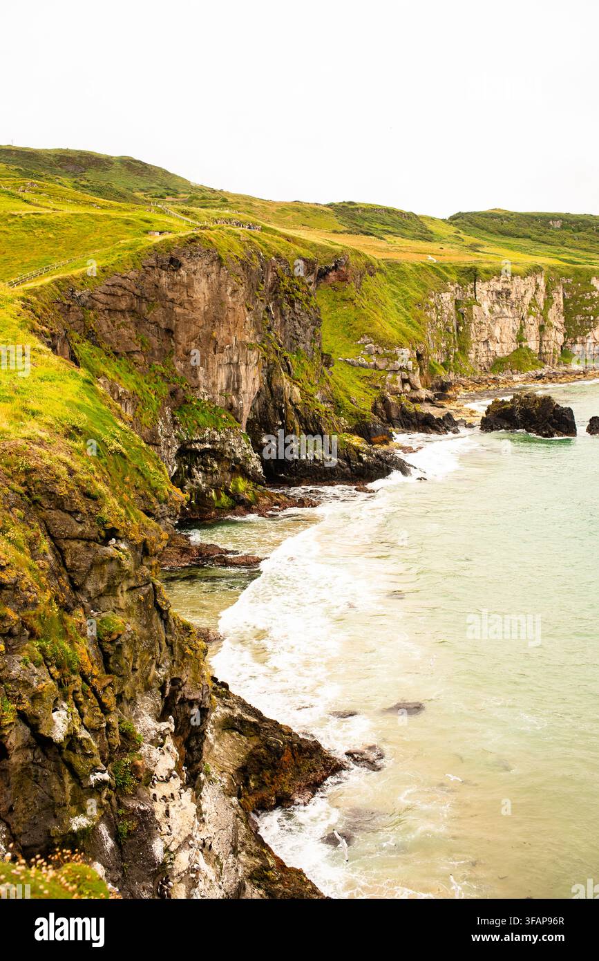 Scogliere verdi drammatiche lungo una costa frastagliata Foto Stock