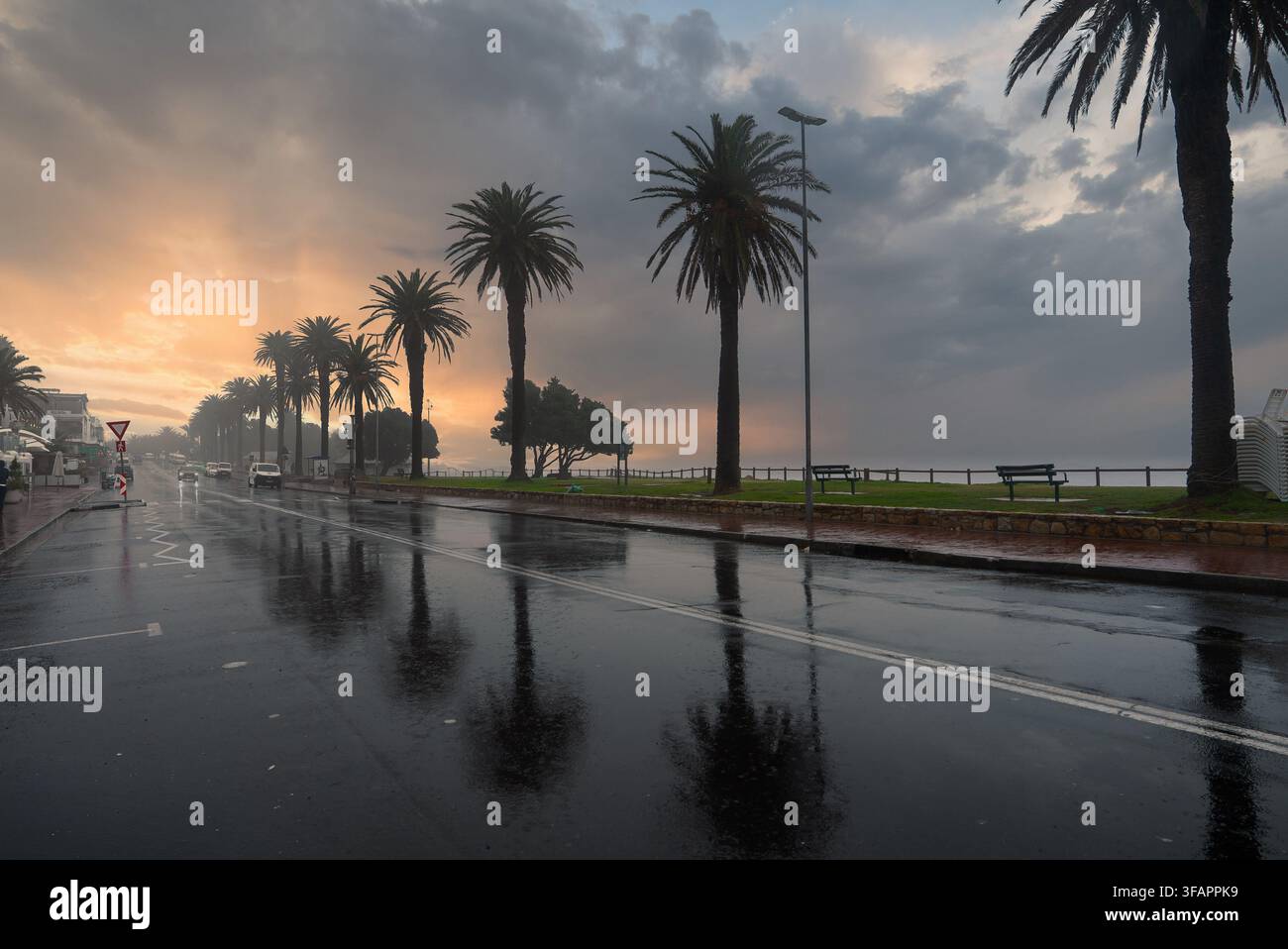Strada costiera bagnata e palme al tramonto a Città del Capo Foto Stock