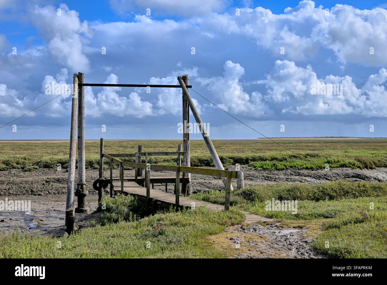 Passerella di legno nella palude salata di Thornham Harbour, Norfolk, Regno Unito Foto Stock