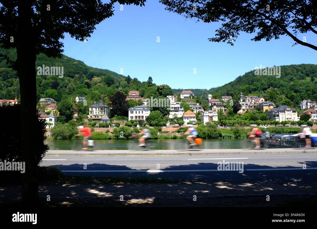 Ciclisti che pedalano per le strade di Heidelberg, il Neckar e le case sullo sfondo, punto di vista a fuoco morbido, attività turistica, estate Foto Stock