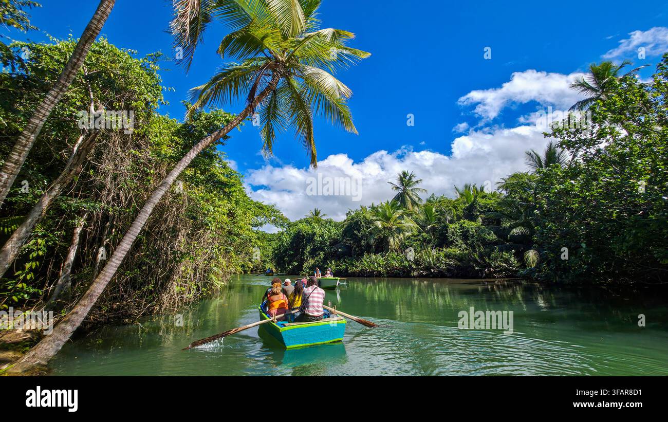 Esplorazione dell'Indian River con guide locali durante una giornata soleggiata a Dominica Foto Stock