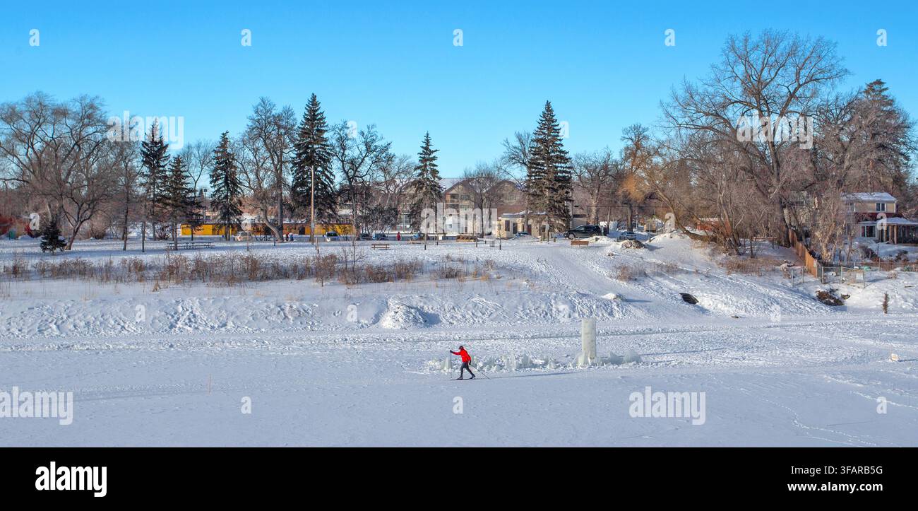 Sciatore di fondo scivola sul fiume Assiniboine ghiacciato vicino allo zoo di Assiniboine Park in un paesaggio invernale Foto Stock
