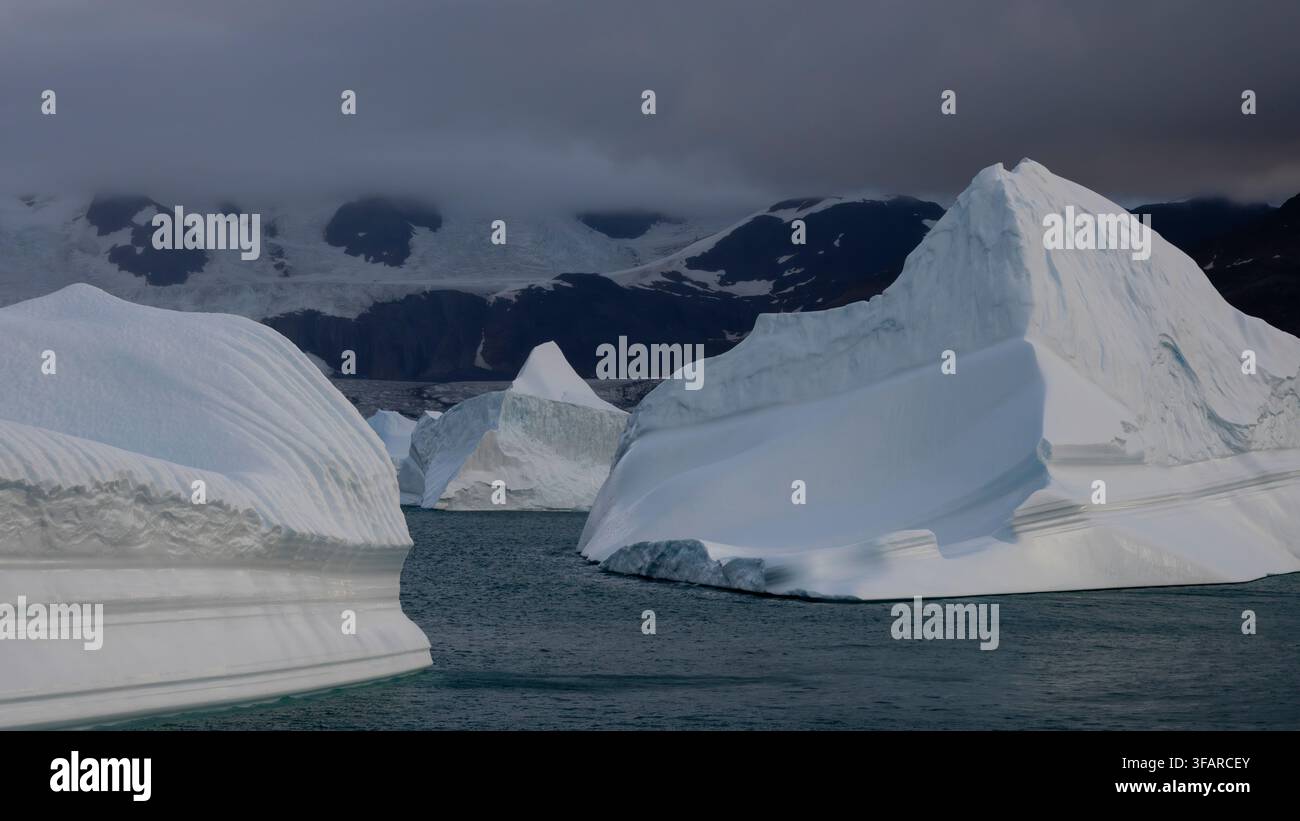 Iceberg alla deriva a King Edward Cove, Cumberland East Bay, Georgia del Sud Foto Stock