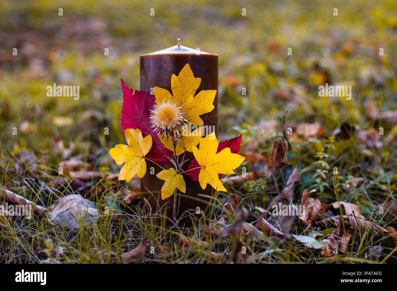 Una grande candela marrone si trova all'aperto nell'erba, decorata con foglie gialle e rosse brillanti e un fiore di pianta secca. Foto Stock