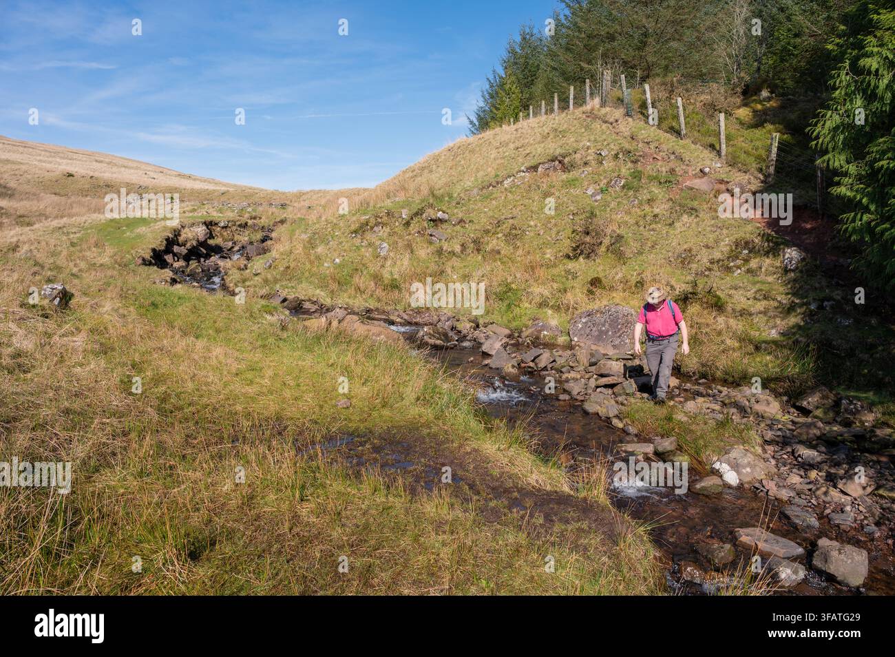 Uomo che cammina sul Taff Trail vicino al bacino di Beacos Foto Stock